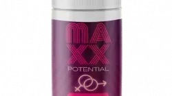 Maxx Potential Low Price