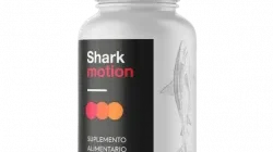 Shark Motion